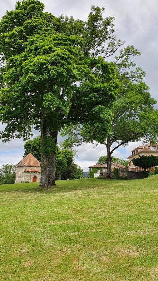 Bed and Breakfast Domaine De Montvianeix Saint-Victor-Montvianeix Exterior foto