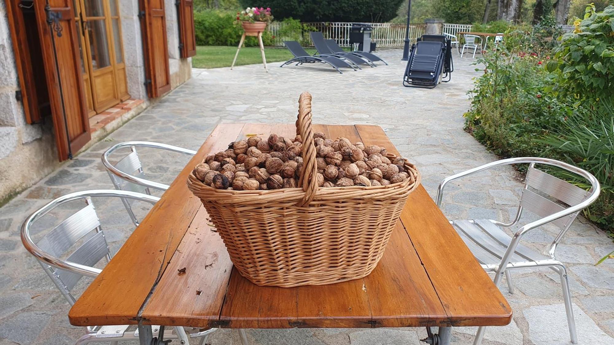 Bed and Breakfast Domaine De Montvianeix Saint-Victor-Montvianeix Exterior foto