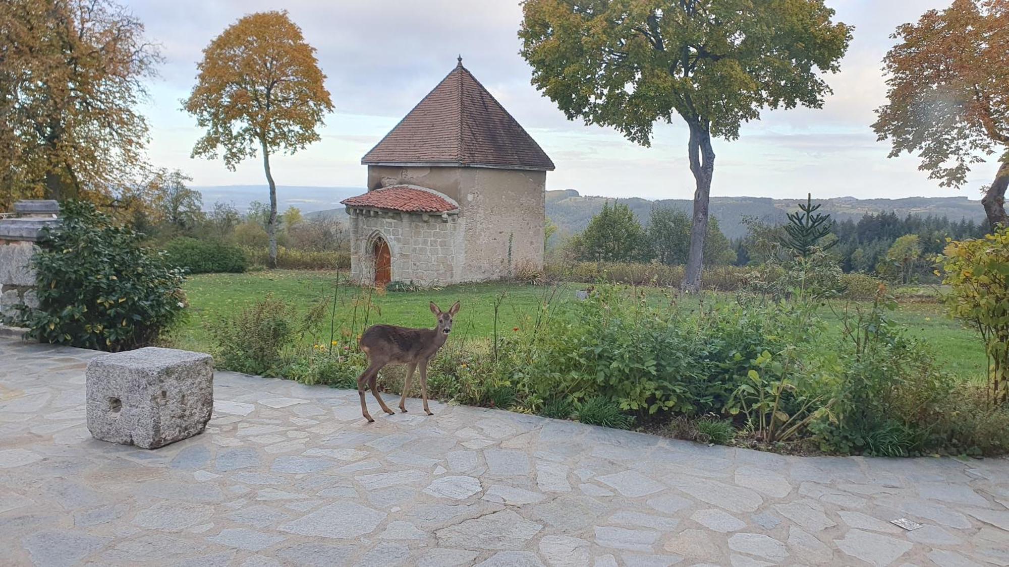 Bed and Breakfast Domaine De Montvianeix Saint-Victor-Montvianeix Exterior foto